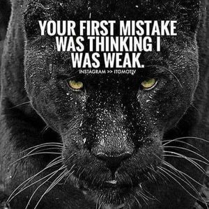 Meet your Posher, Felix